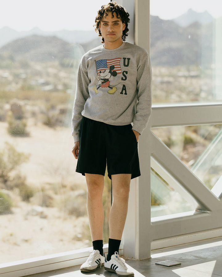 Mickey USA Flea Market Fleece