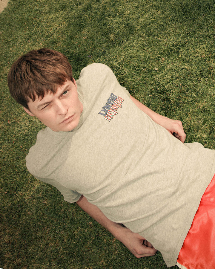 Lynyrd Skynyrd Rock N Roll Eagle Vintage Tee