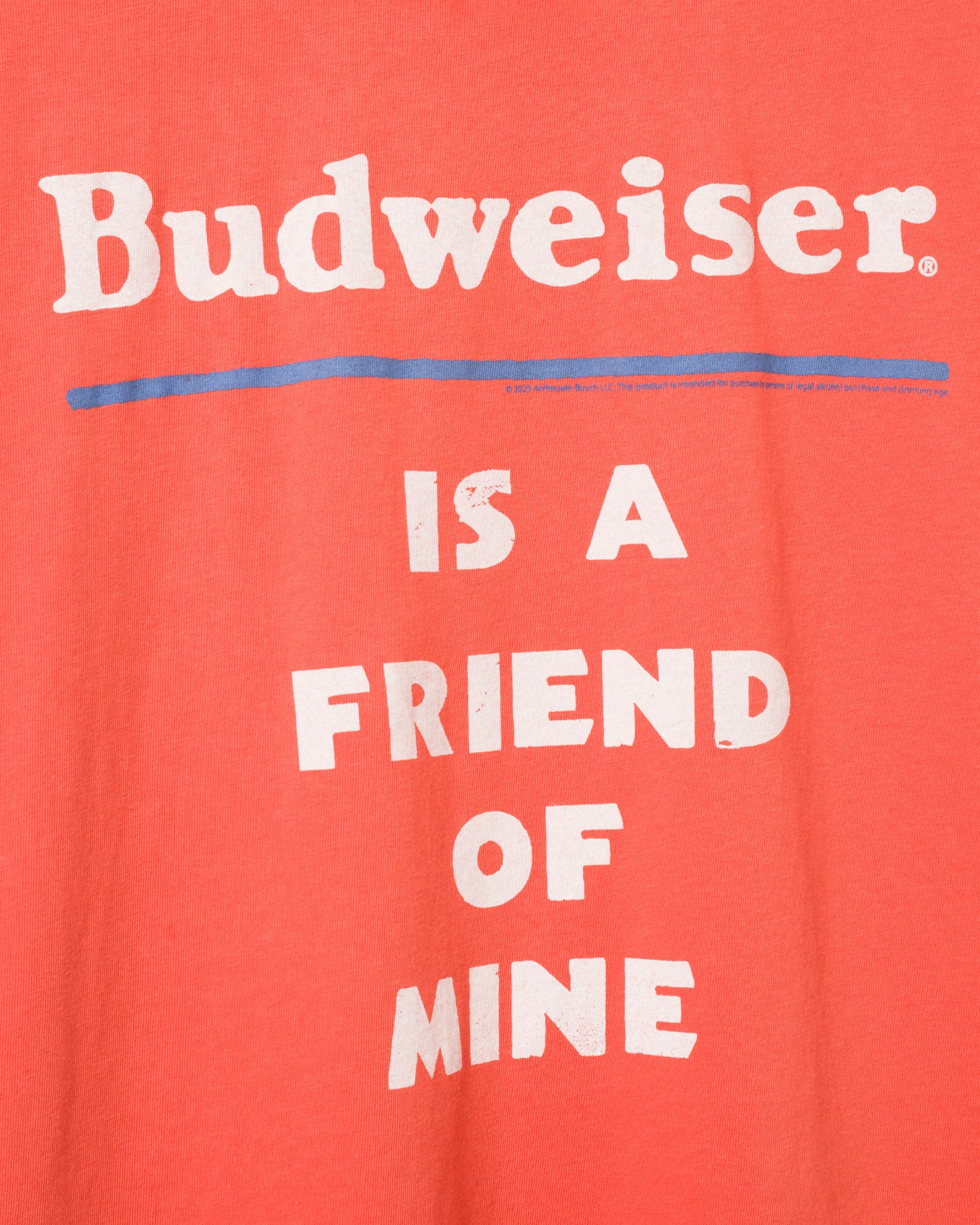 Budweiser is a Friend of Mine Vintage Tee – Junk Food Clothing