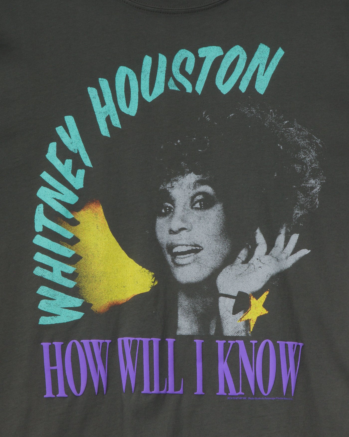 Whitney Houston How Will I Know Oversized Tee – Junk Food Clothing