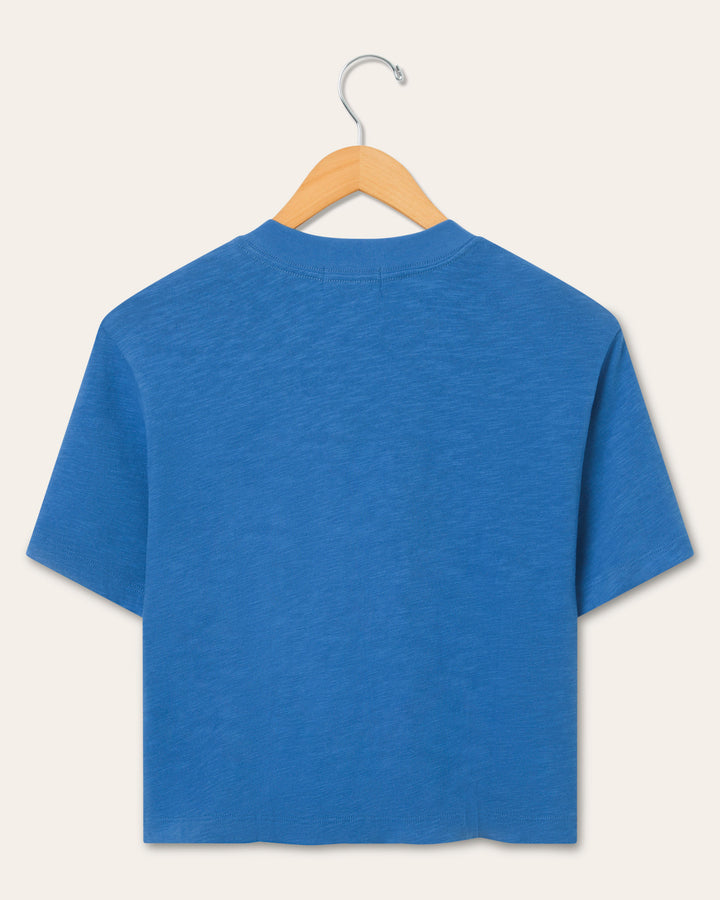 Lions Blue