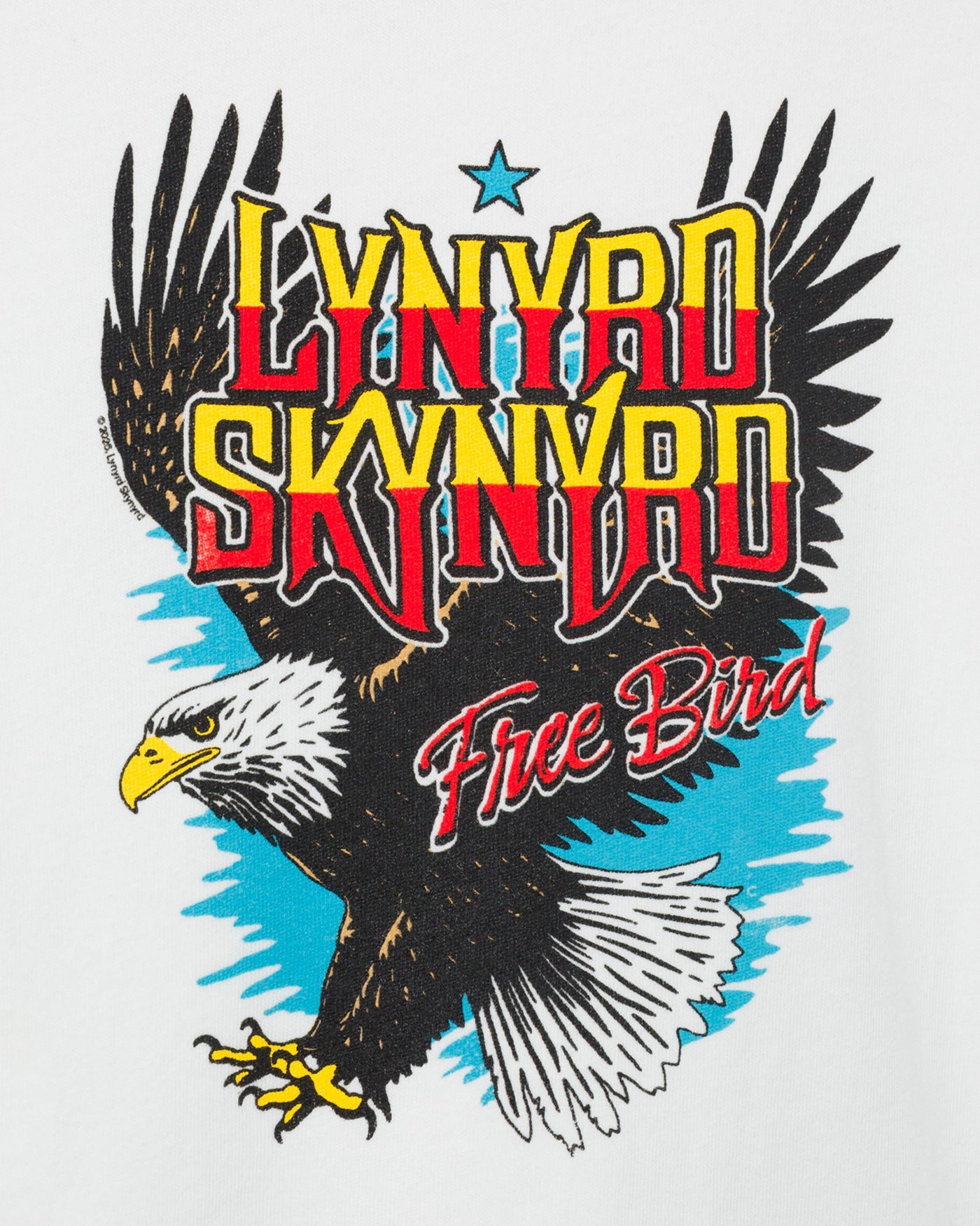 Kids Lynyrd Skynyrd Free Bird Tee – Junk Food Clothing