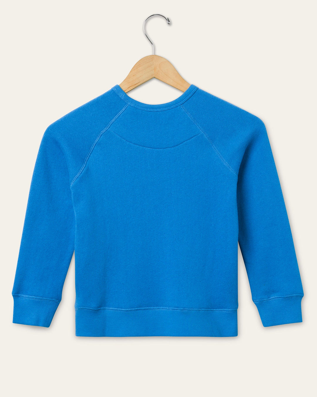 Lions Blue