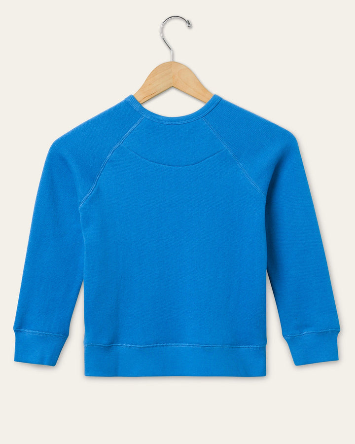 Lions Blue