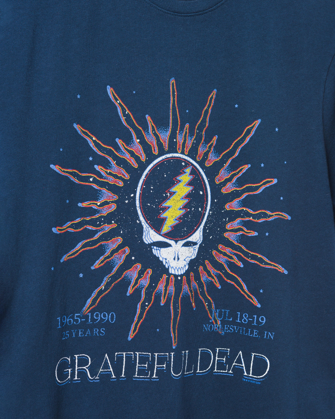 Grateful Dead 1990 Show Vintage Tee