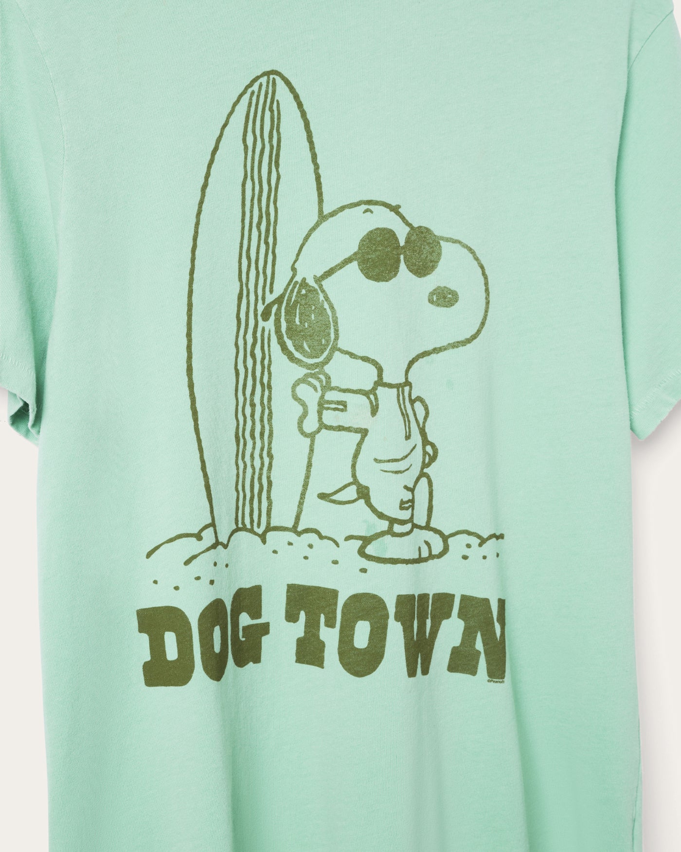 Snoopy Dog Town Vintage Tee – Junk Food Clothing