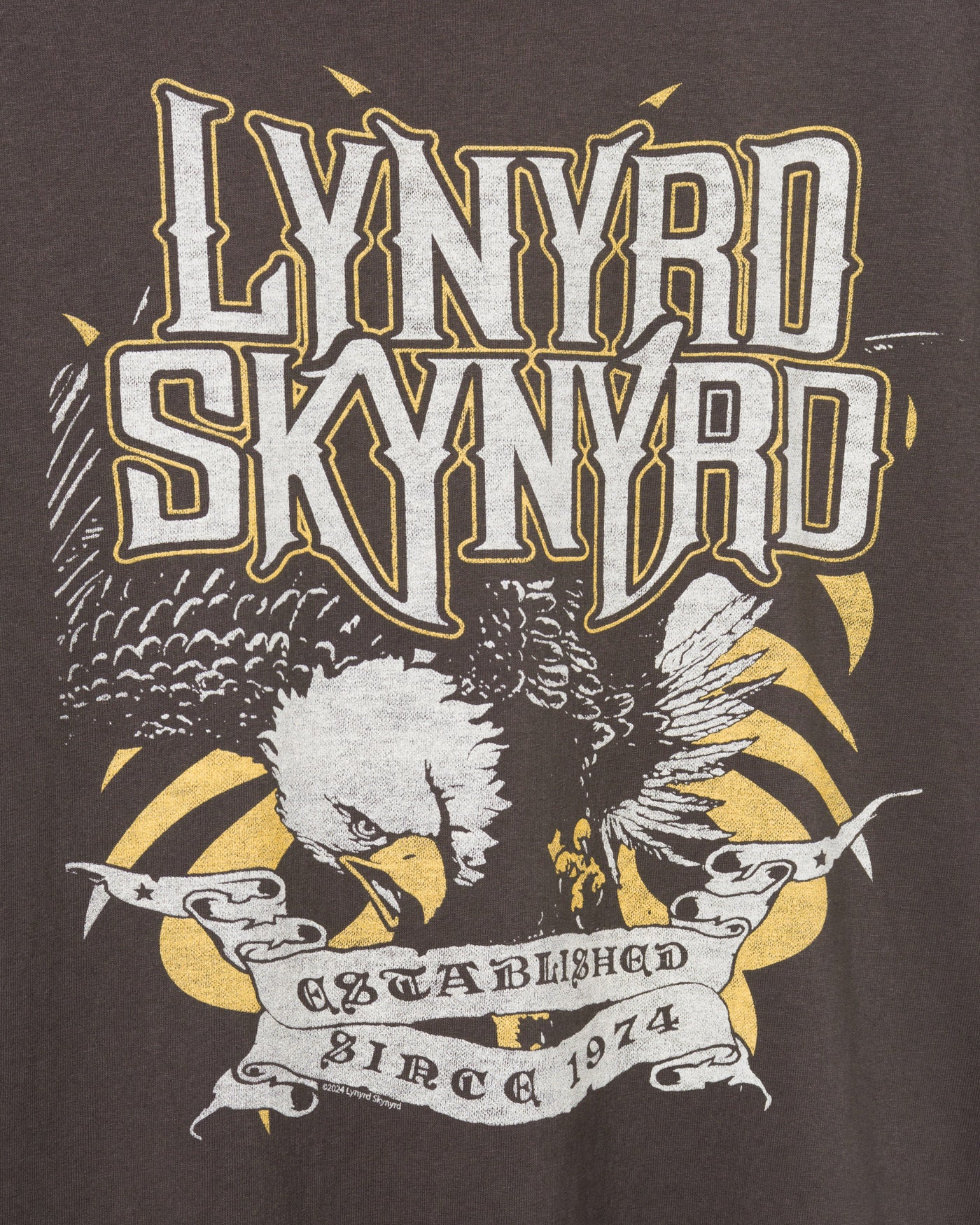 Lynyrd Skynyrd Since 1974 Flea Market Tee – Junk Food Clothing