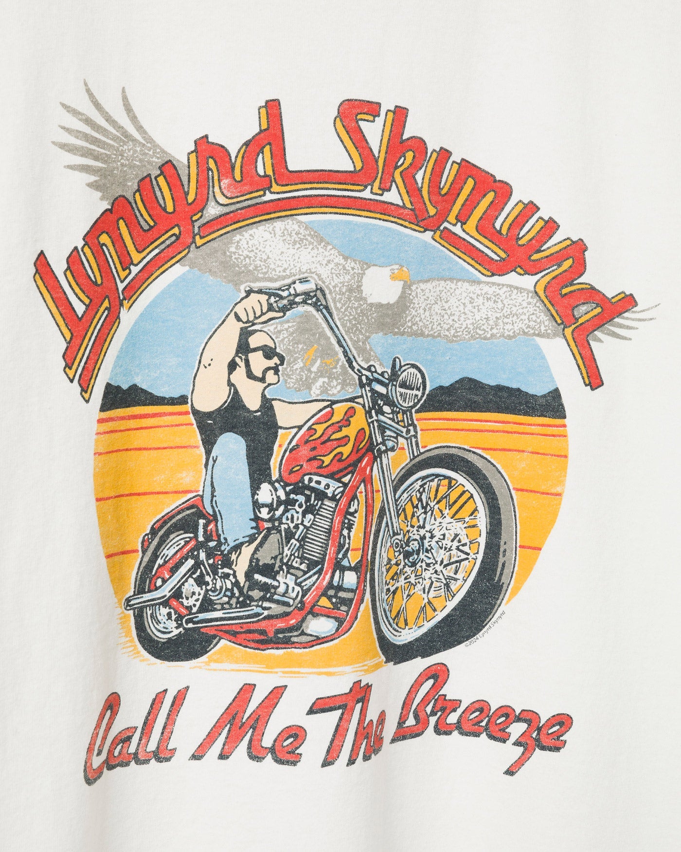 Lynyrd Skynyrd Call Me the Breeze Flea Market Tee – Junk Food Clothing