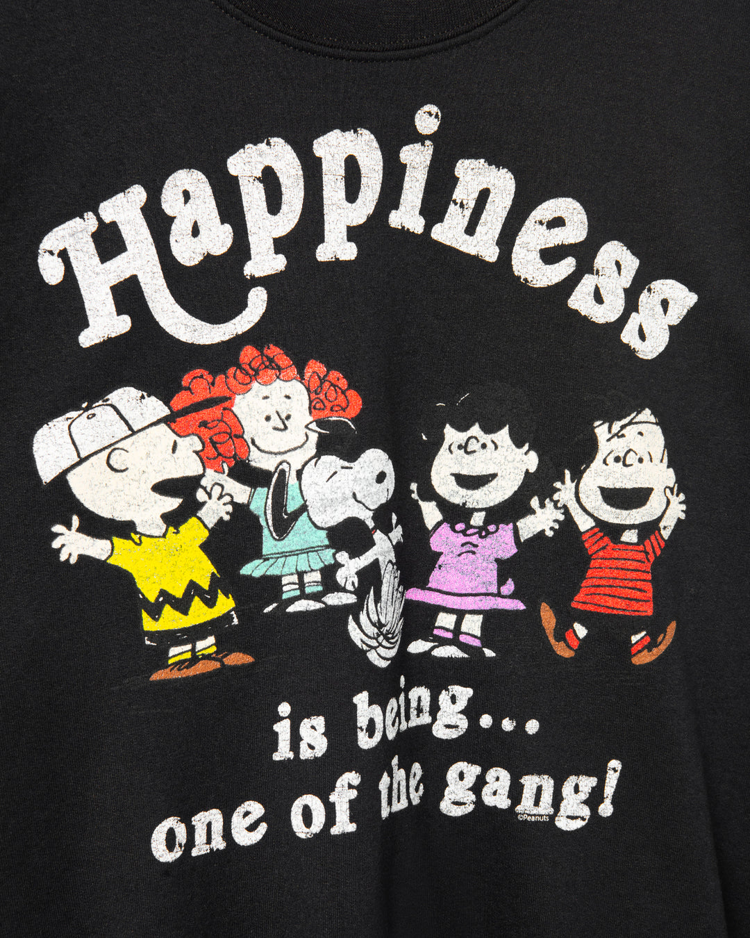 Peanuts One Of The Gang Flea Market Fleece