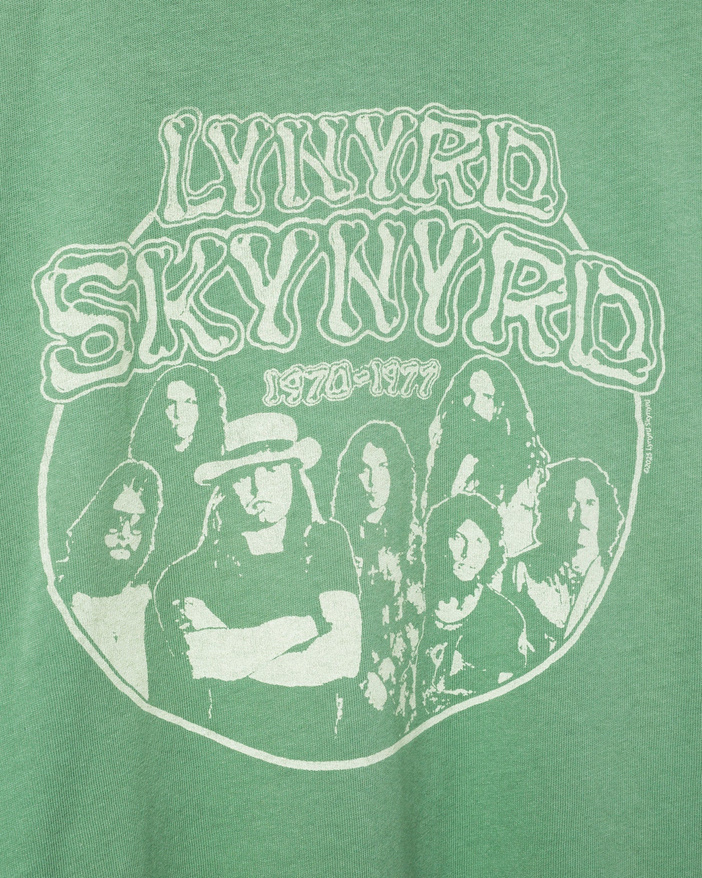 Women's Lynyrd Skynyrd 70's Vintage Tee – Junk Food Clothing