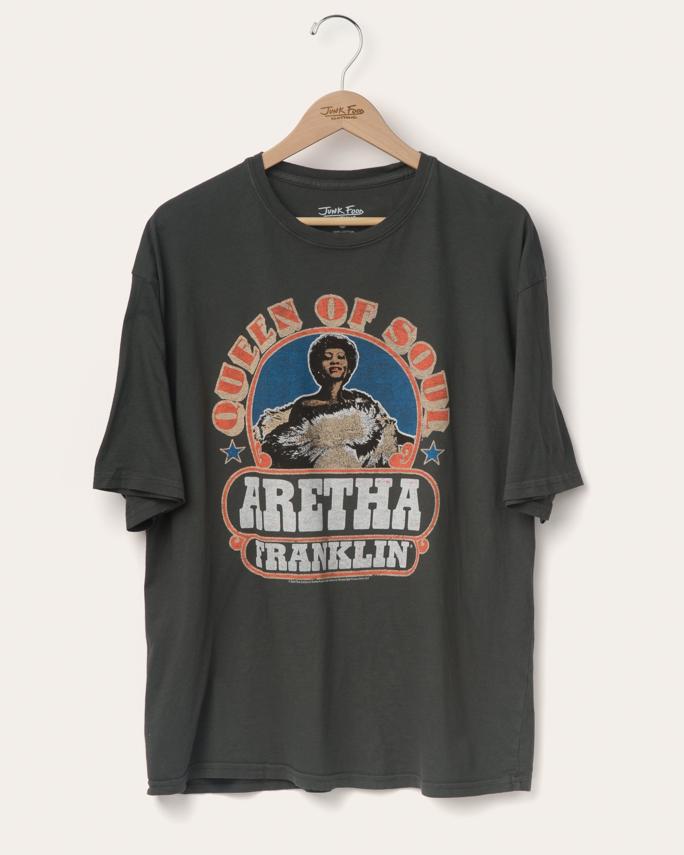 Aretha Franklin Queen of Soul Oversized Tee – Junk Food Clothing