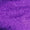 Purple Swatch