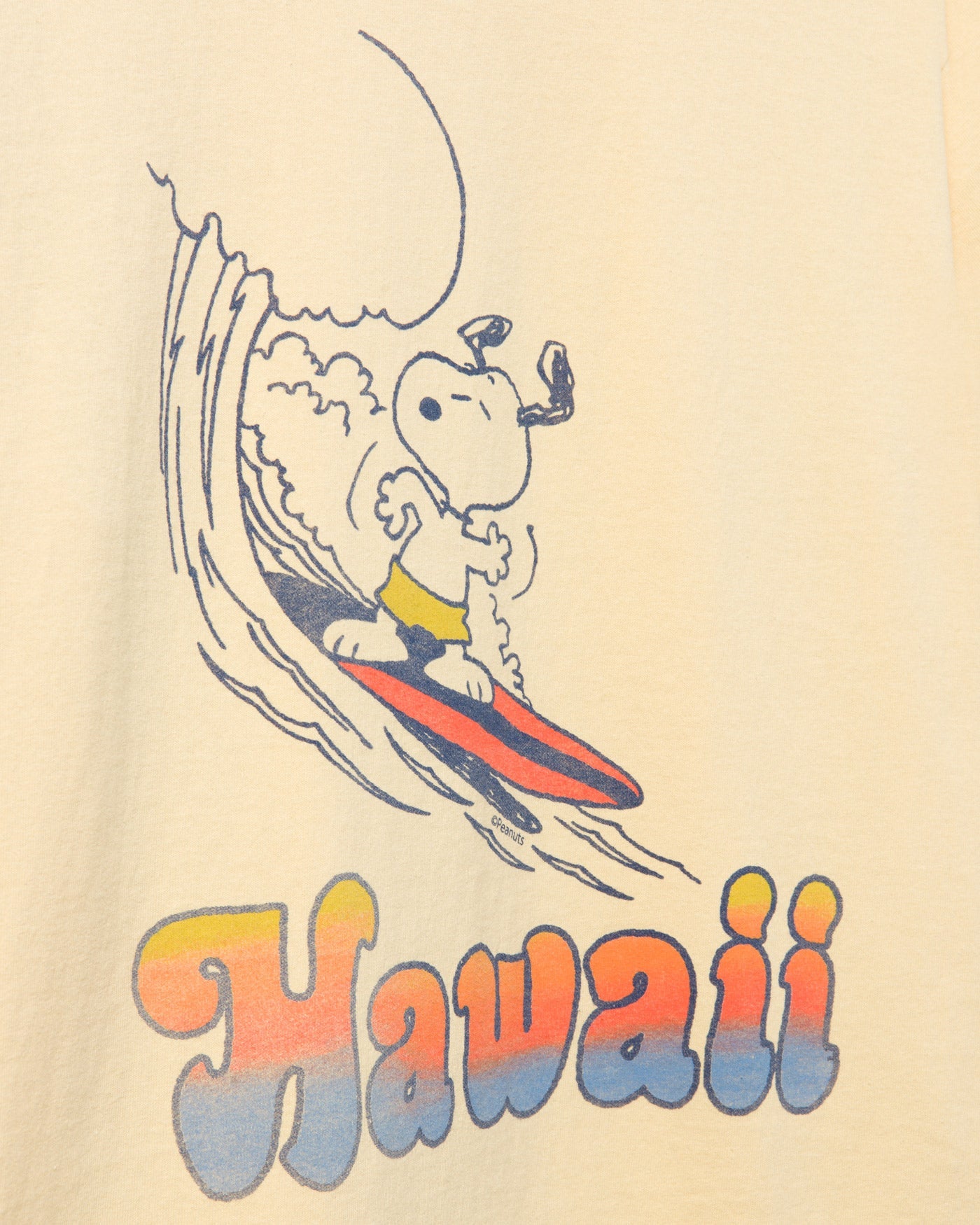 Snoopy Hawaii Flea Market Tee – Junk Food Clothing